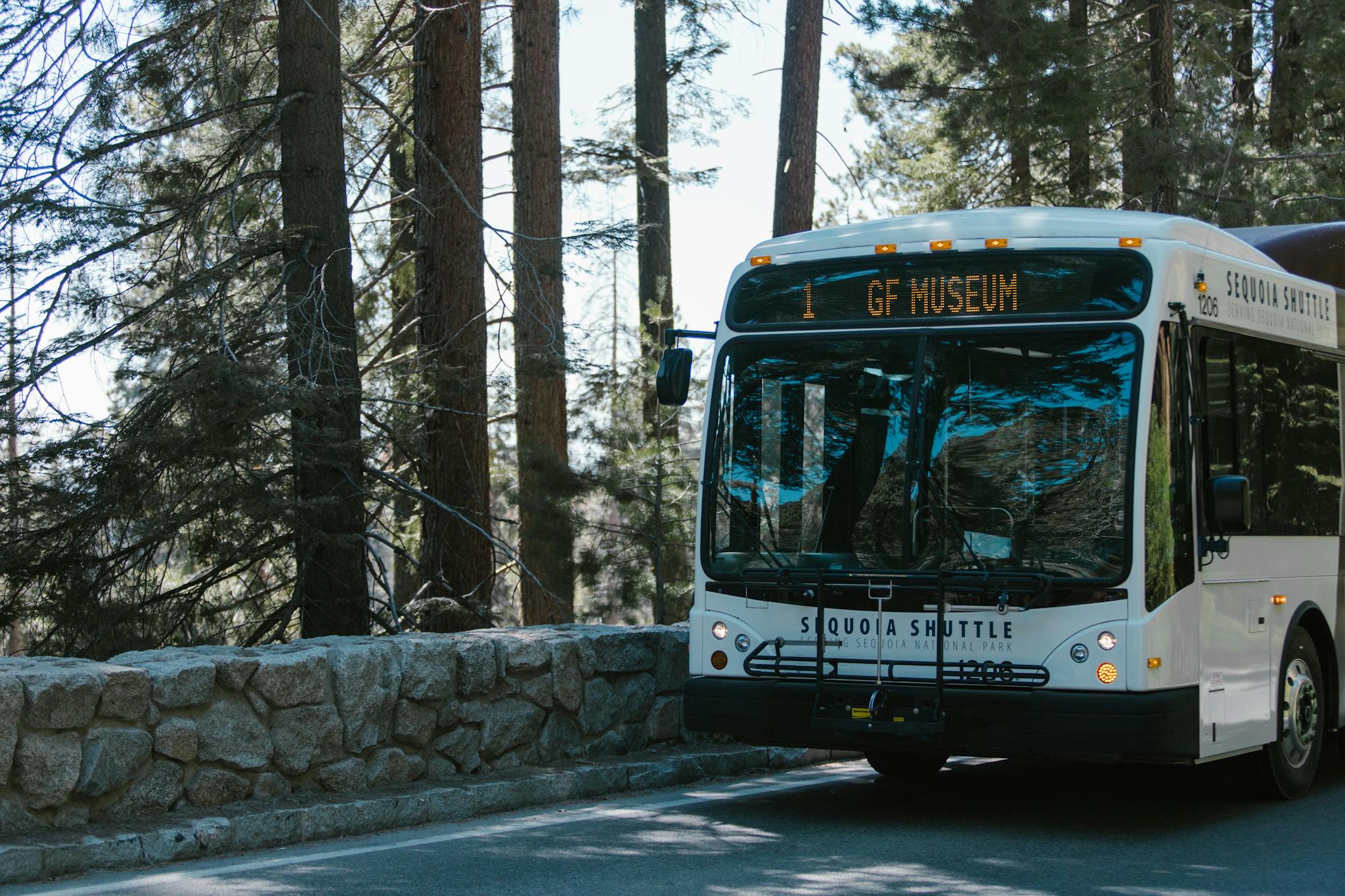 Sequoia shuttle bus in a forest setting within a national park.